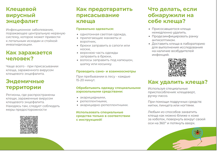 Профилактика клещевого энцефалита.